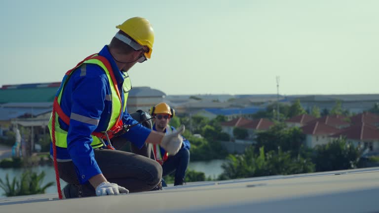 Best Sheet Metal Roofing  in Carlinvle, IL