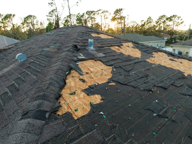 Best Emergency Roof Repair Services  in Carlinvle, IL