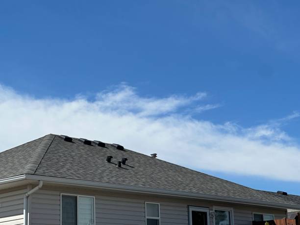Best Roof Moss and Algae Removal  in Carlinvle, IL