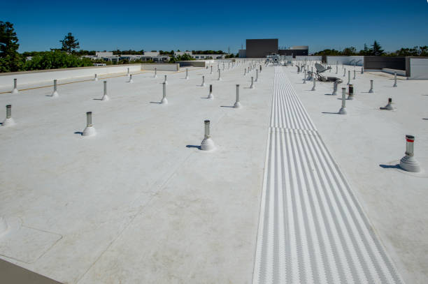 Best Roof Maintenance and Cleaning  in Carlinvle, IL